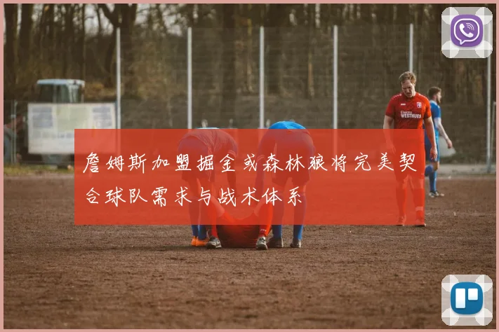 詹姆斯加盟掘金或森林狼将完美契合球队需求与战术体系