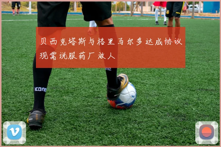 贝西克塔斯与格里马尔多达成协议现需说服药厂放人